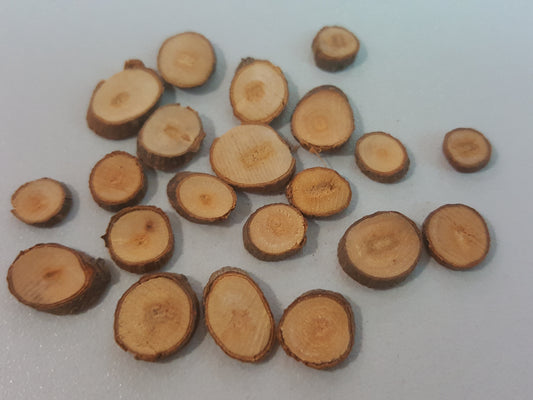 Cassia Twig