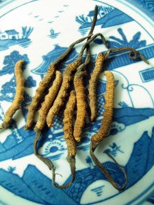 Athletic Problems – Chinese Medicine Can Help