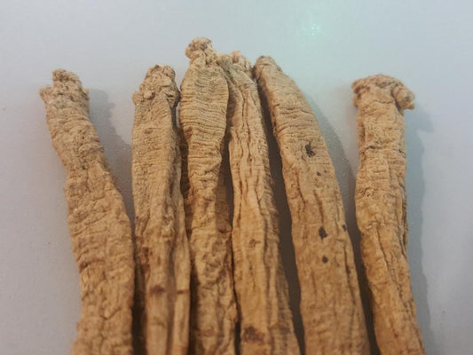 Codonopsis Radix