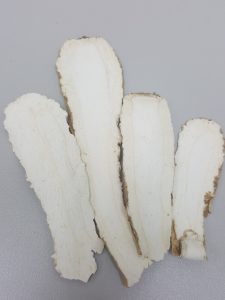 Dahurian Angelica Root